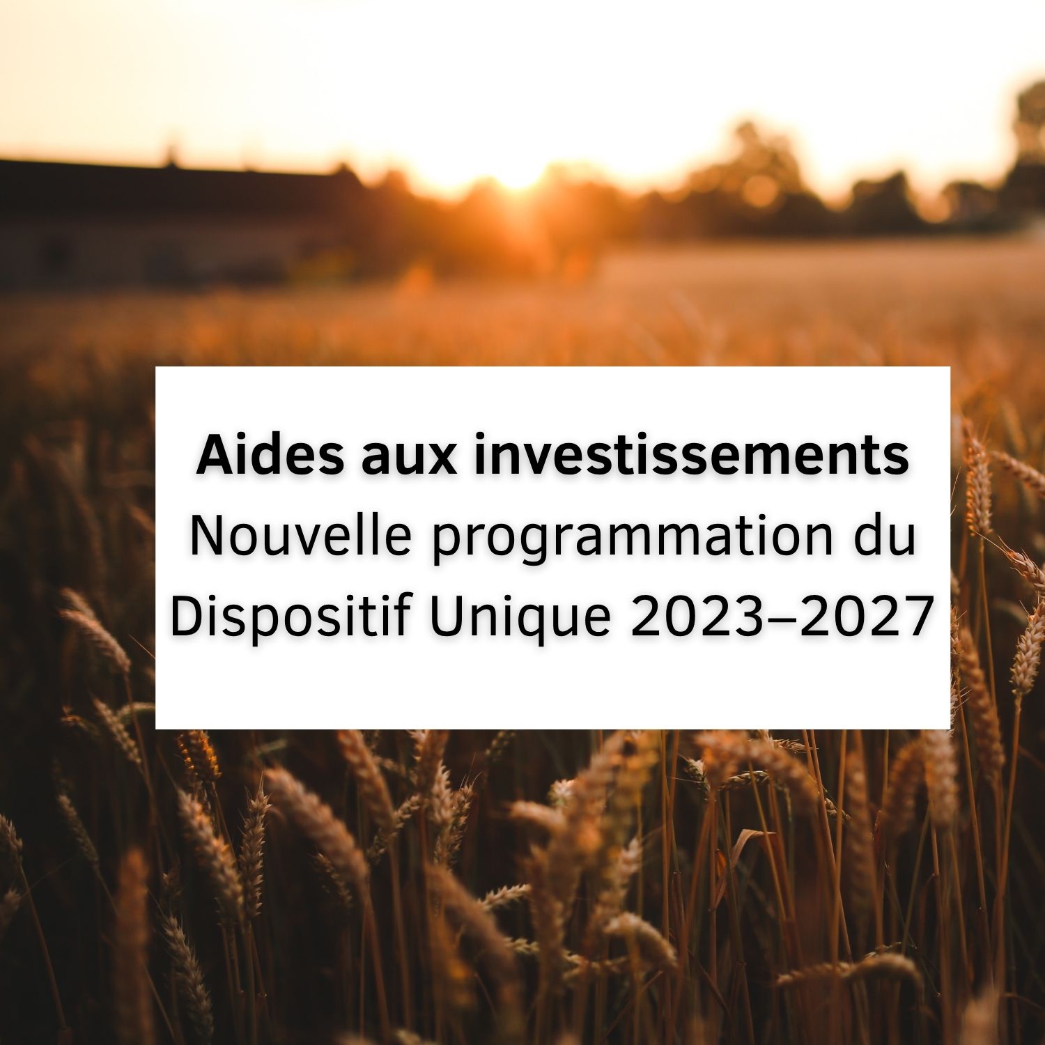 Aides aux investissements – Dispositif Unique