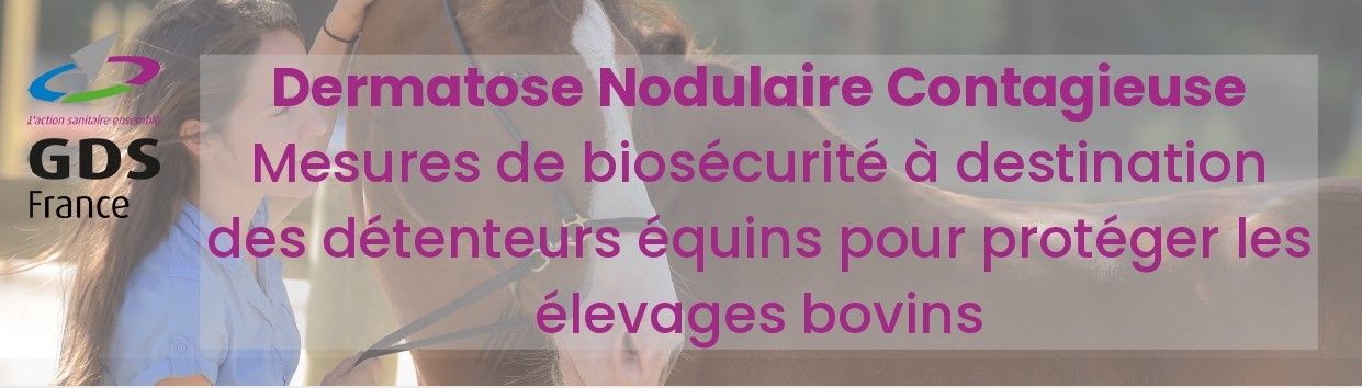 DERMATOSE NODULAIRE CONTAGIEUSE