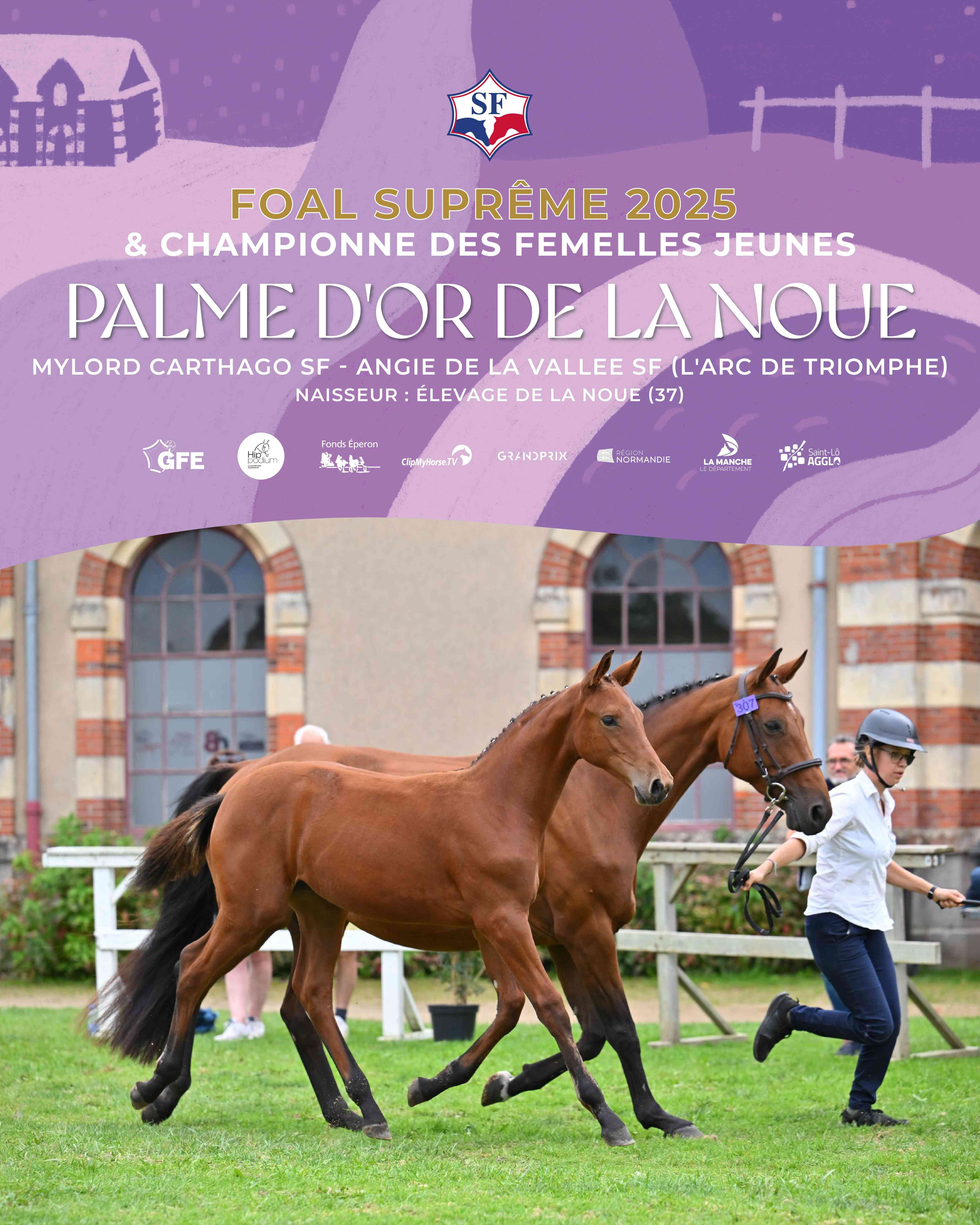 Deux champions de la région Centre-Val de Loire au Championnat des foals SF 2025