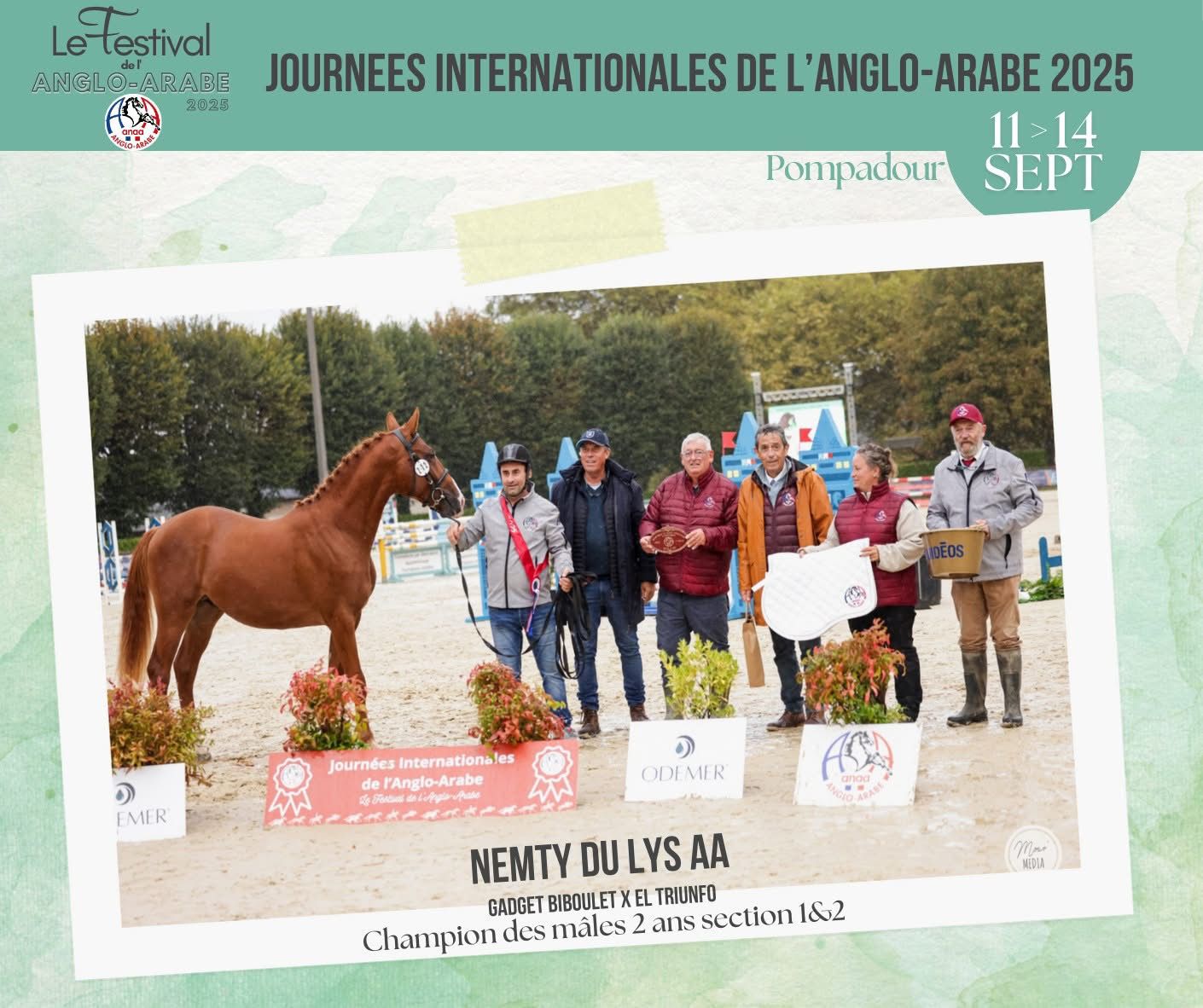 L'élevage du Lys : deux champions à son actif