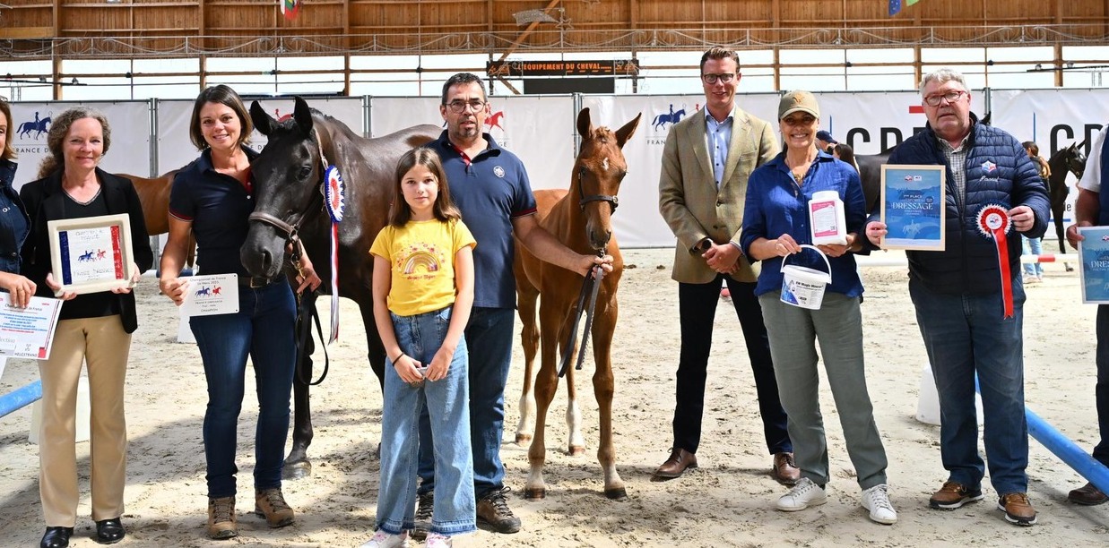 un champion de France des foals mâles 2025 en dressage pour l'élevage TEE de l'Indre
