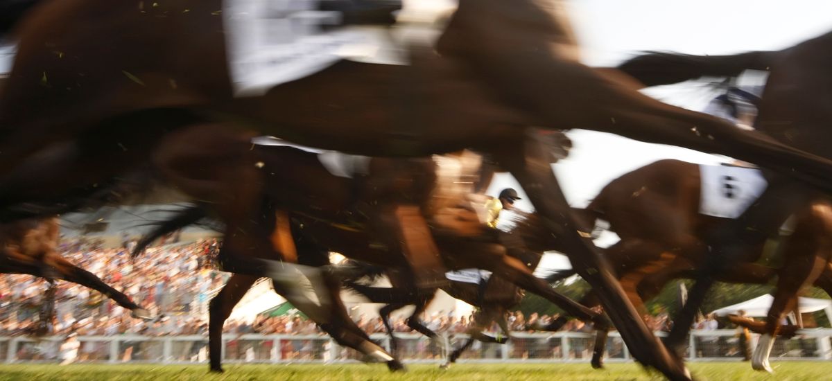 La Normandie, terre sacrée d’élevage, brille au départ du Qatar Prix de l’Arc de Triomphe