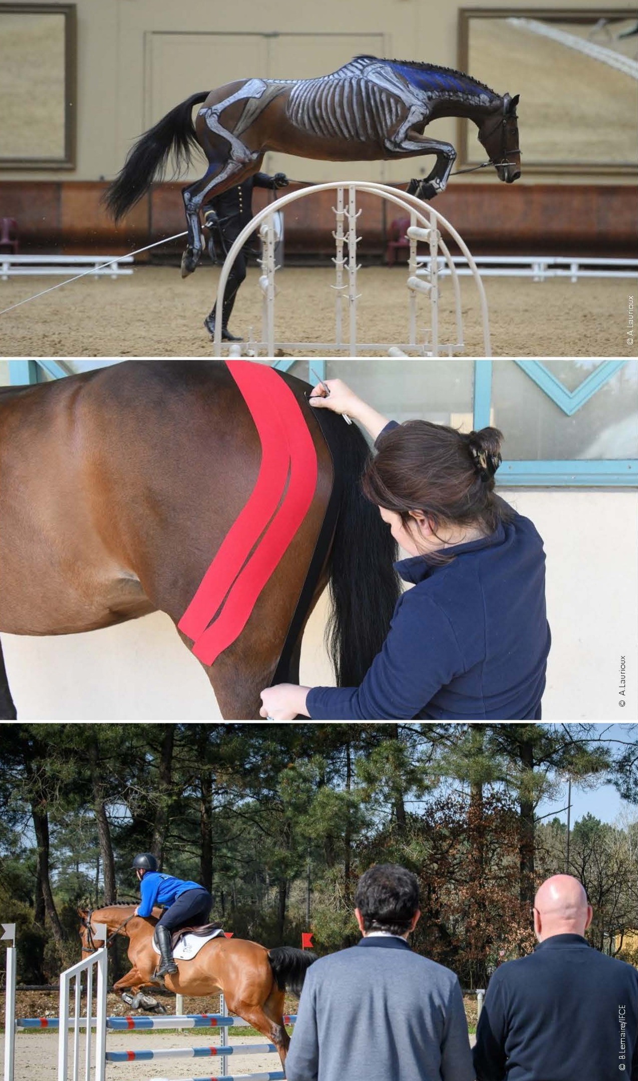 Formations de l'IFCE en Pays de la Loire