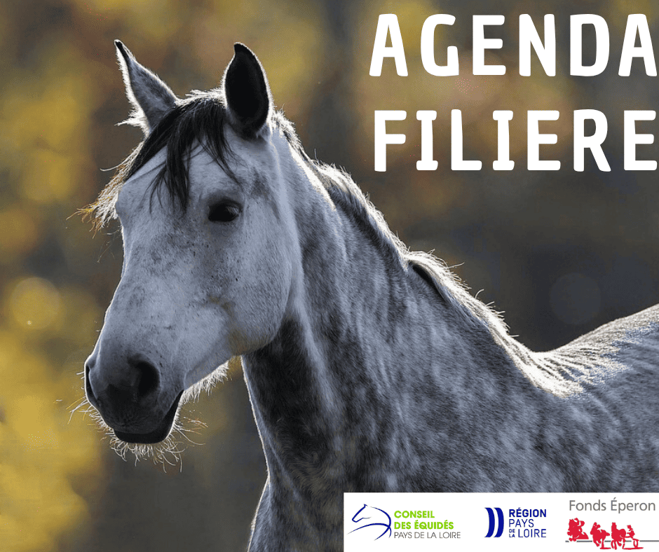 AGENDA FILIERE EQUINE 2025