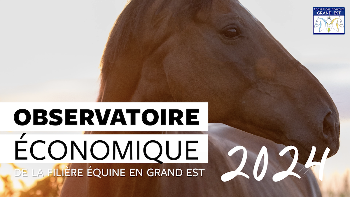 🎥 (Re)Découvrez les chiffres clés de la filière équine du Grand Est 2025 en vidéo !