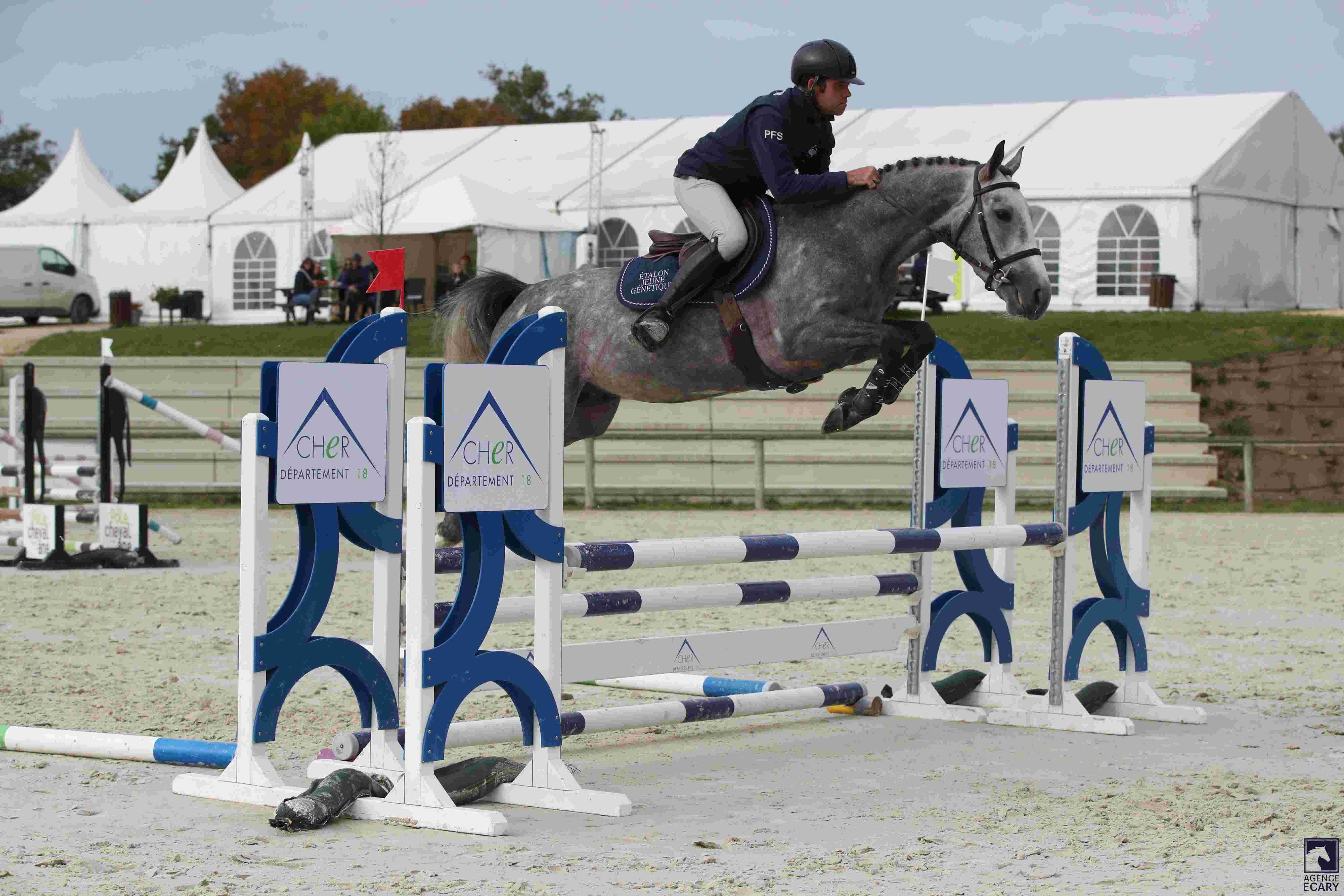 Testage des étalons PFS