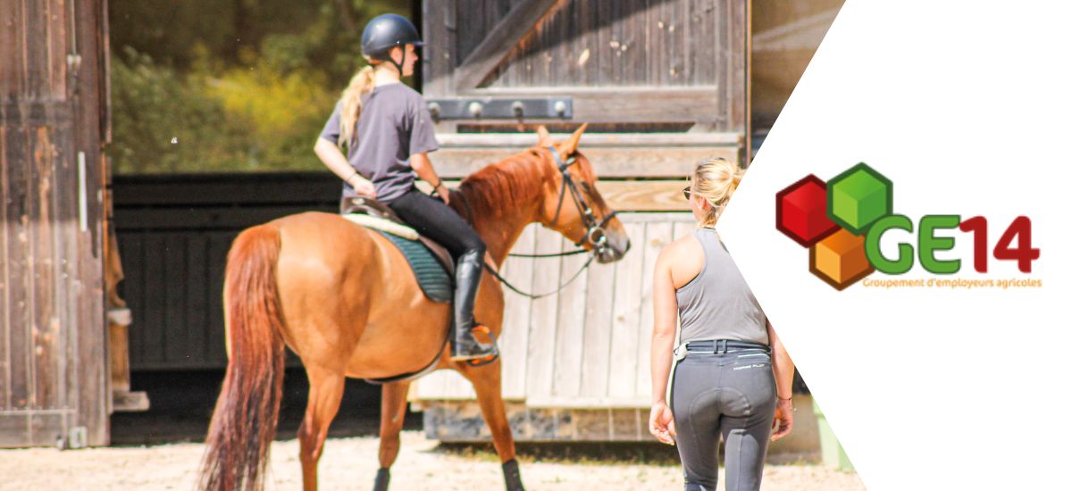 Le groupement d’employeurs agricoles : une solution flexible et durable pour l’emploi 