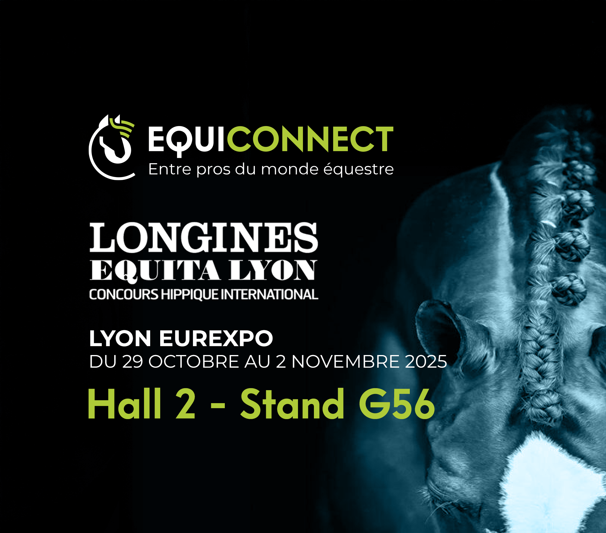 SUPPORT PLAN FILIERE EQUINE