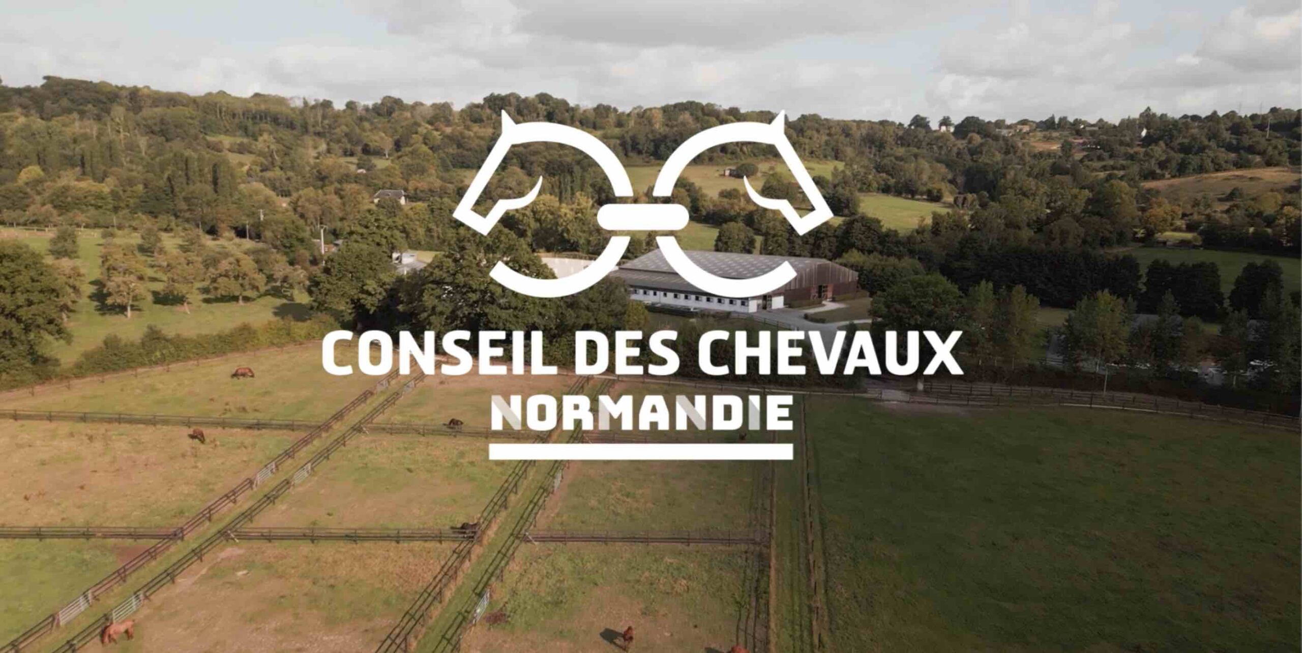 Le Conseil des Chevaux de Normandie : des missions en images 