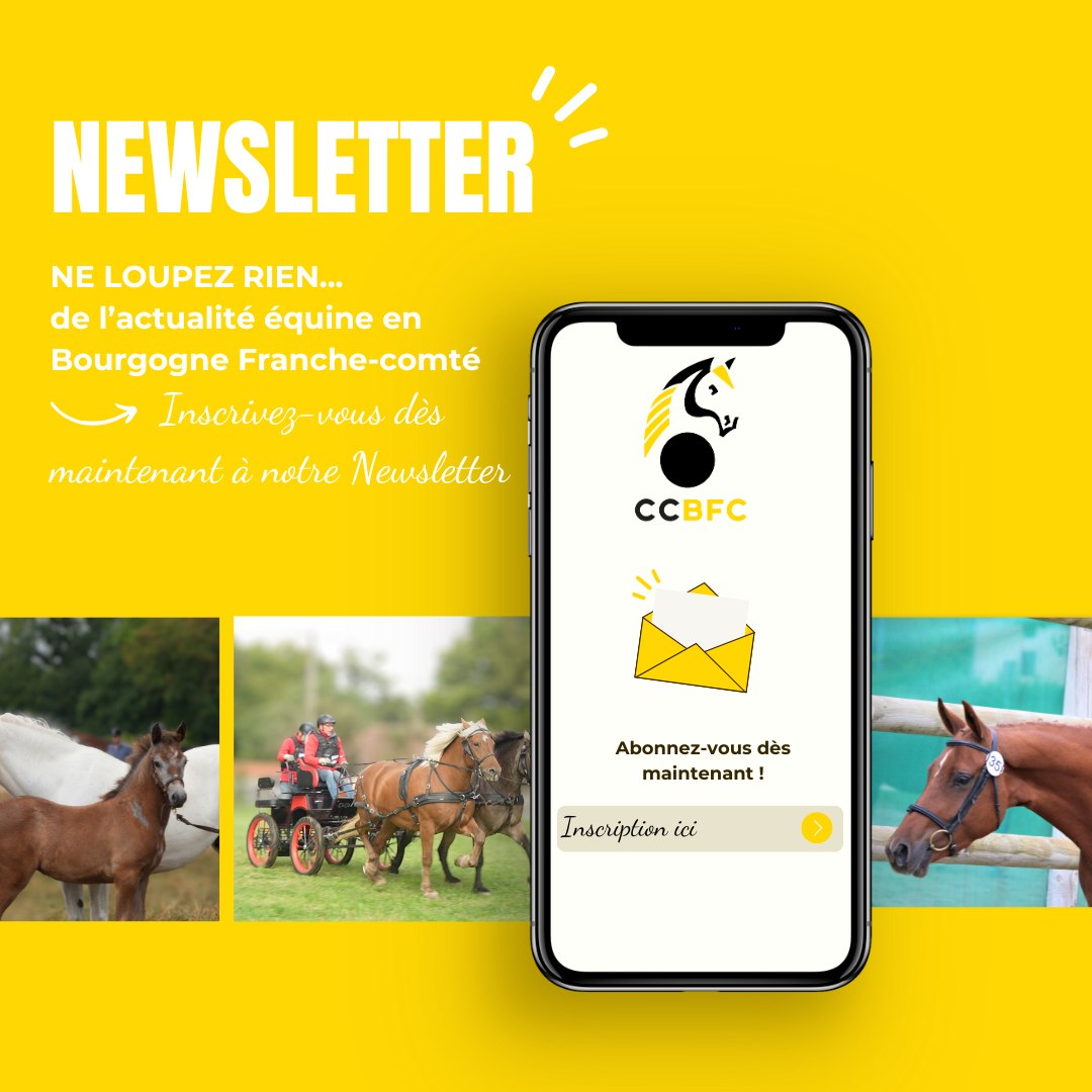 Inscrivez vous à notre Newsletter régionale, prochain numéro en décembre !