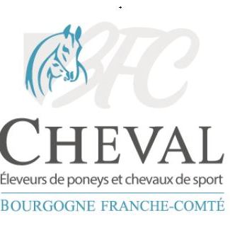Nos éleveurs de poneys brillent sur les finales nationales !