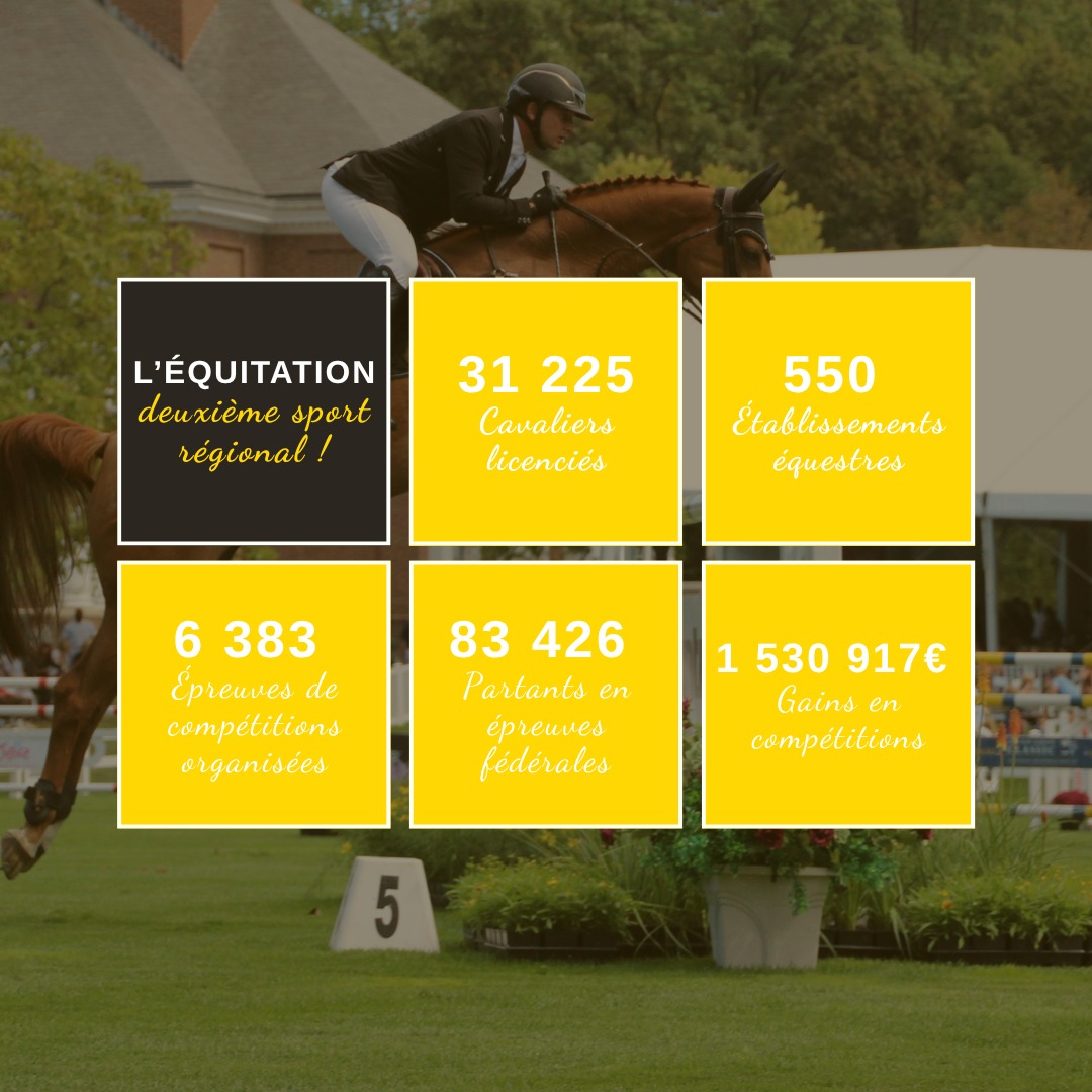 L'équitation : deuxième sport régional en 2024
