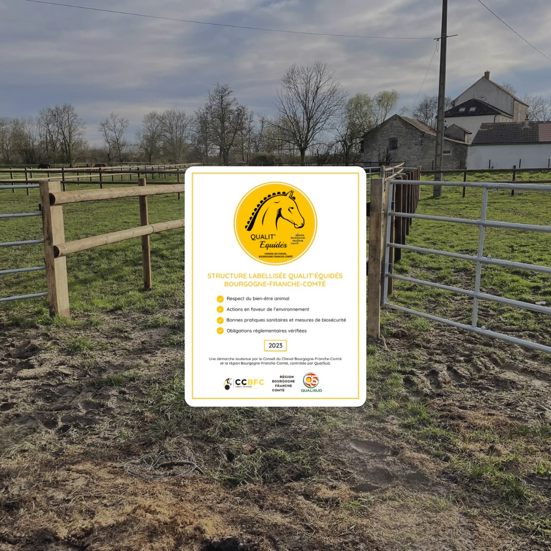 Nos labellisés : le haras de Marigny