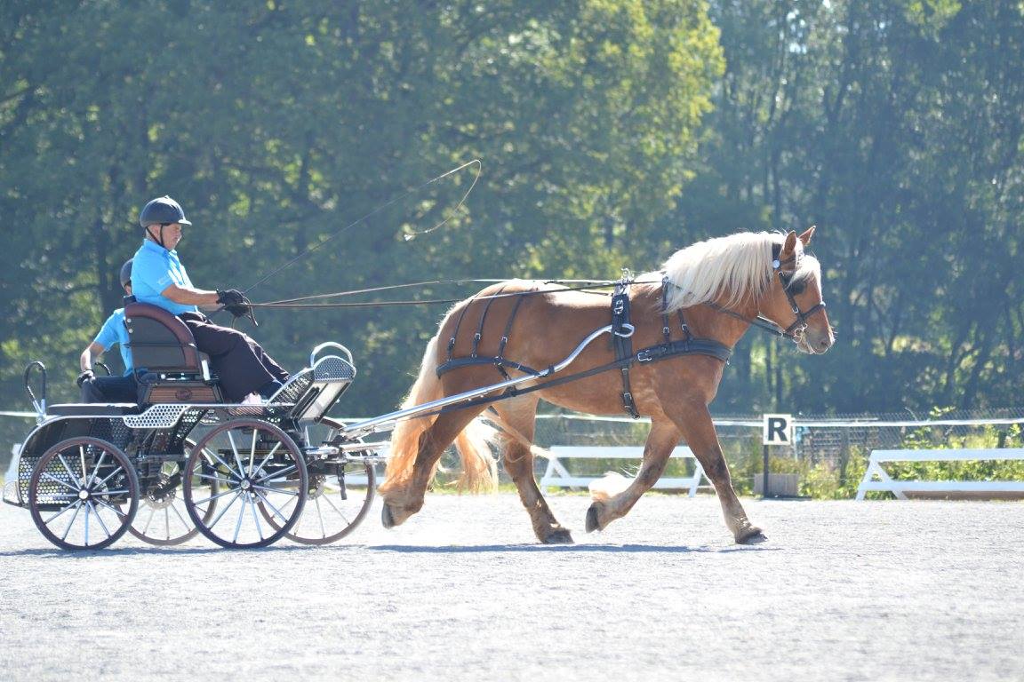 Nos labellisés : l'élevage des Palles