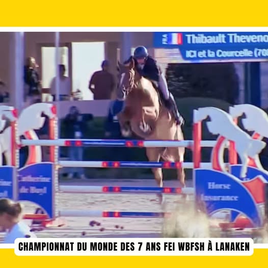 Championnats du Monde des jeunes chevaux : la Saône et Loire à l'honneur
