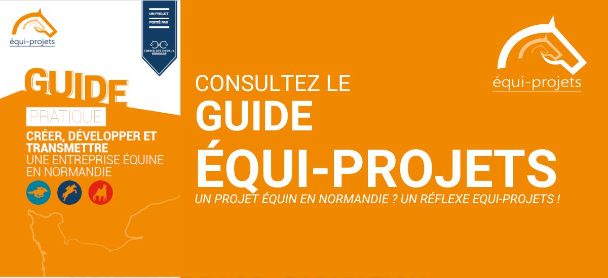 Nouveau guide équi-projets