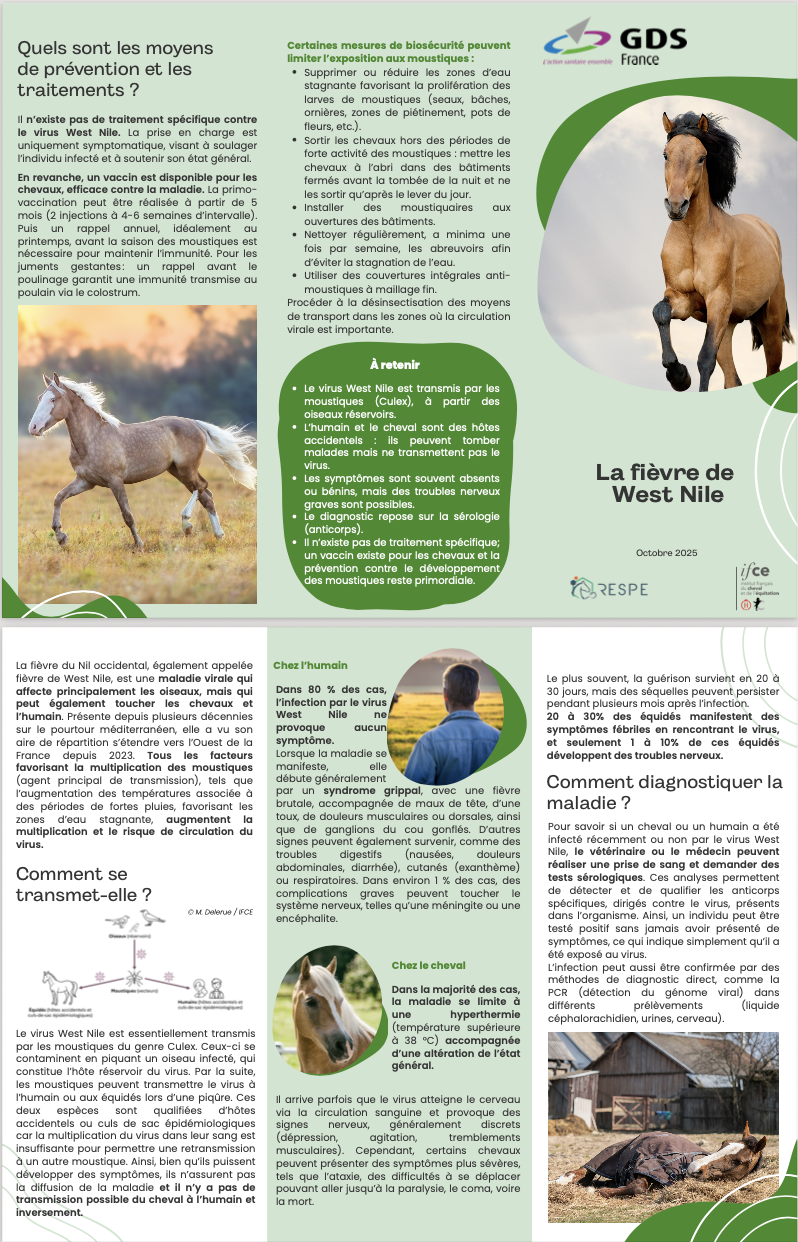 Informations sur La fièvre de West Nile