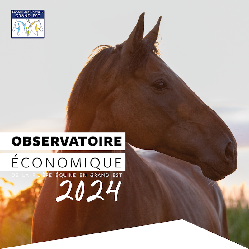 Observatoire économique de la filière équine Grand Est – Le carrousel récapitulatif 2024