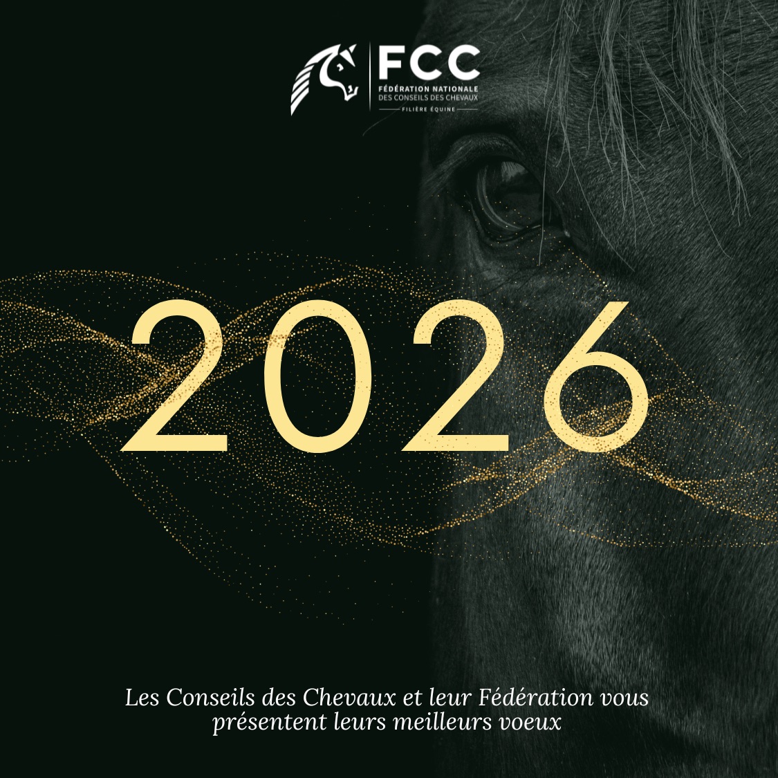 VOEUX 2026