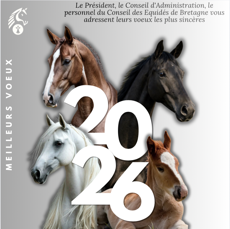 le CEB vous souhaite de bonnes fêtes de fin d'année 🐴✨