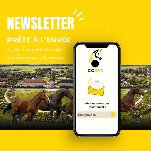 Newsletter : inscrivez-vous pour recevoir les prochaines éditions