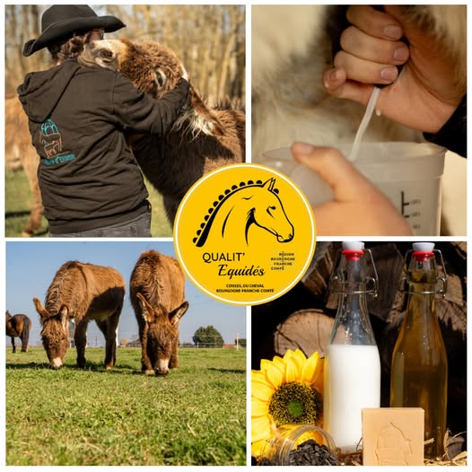 Nos labellisés : l'asinerie d'Eldamar