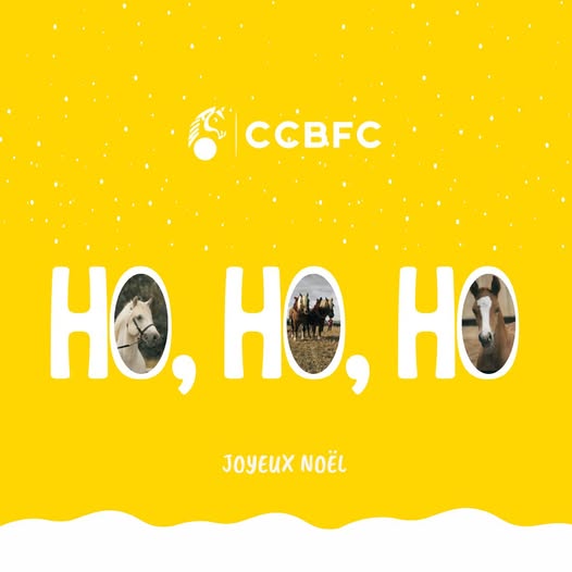 Le Conseil du Cheval vous souhaite de belles fêtes