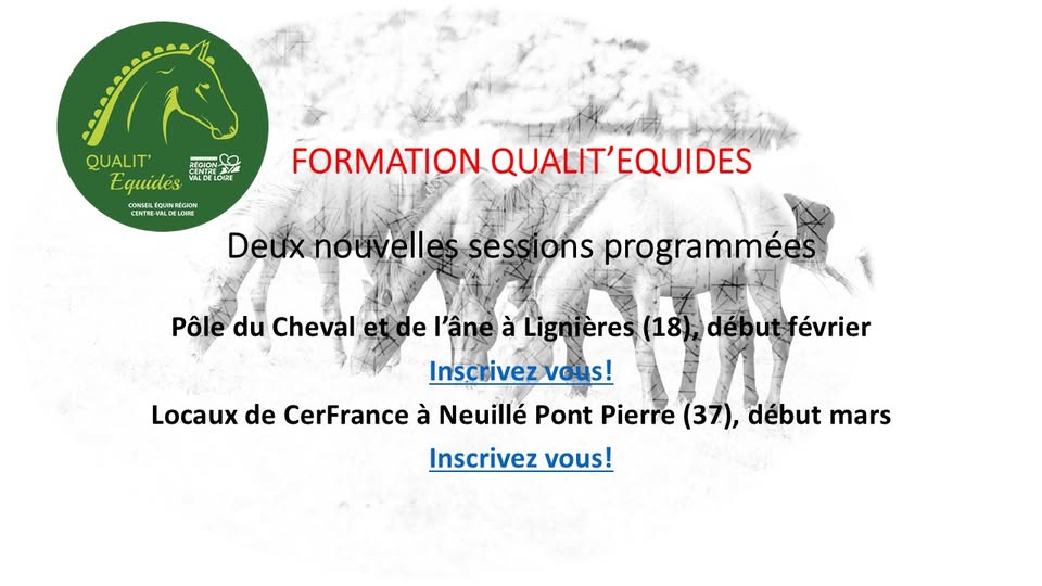 Deux nouvelles formations pour appréhender l'audit pour l'obtention du label Qualit'Equidés