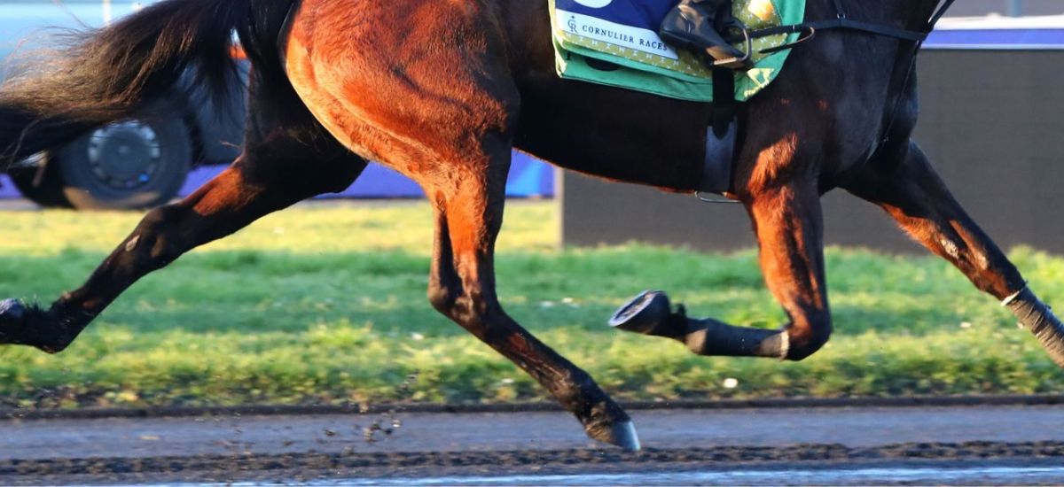 La Normandie à l’honneur lors du Prix de Cornulier 2026