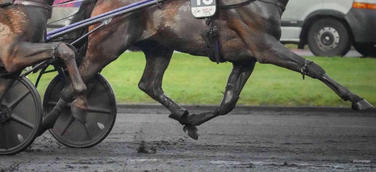 Prix d’Amérique 2026 : la Normandie au sommet du trot mondial