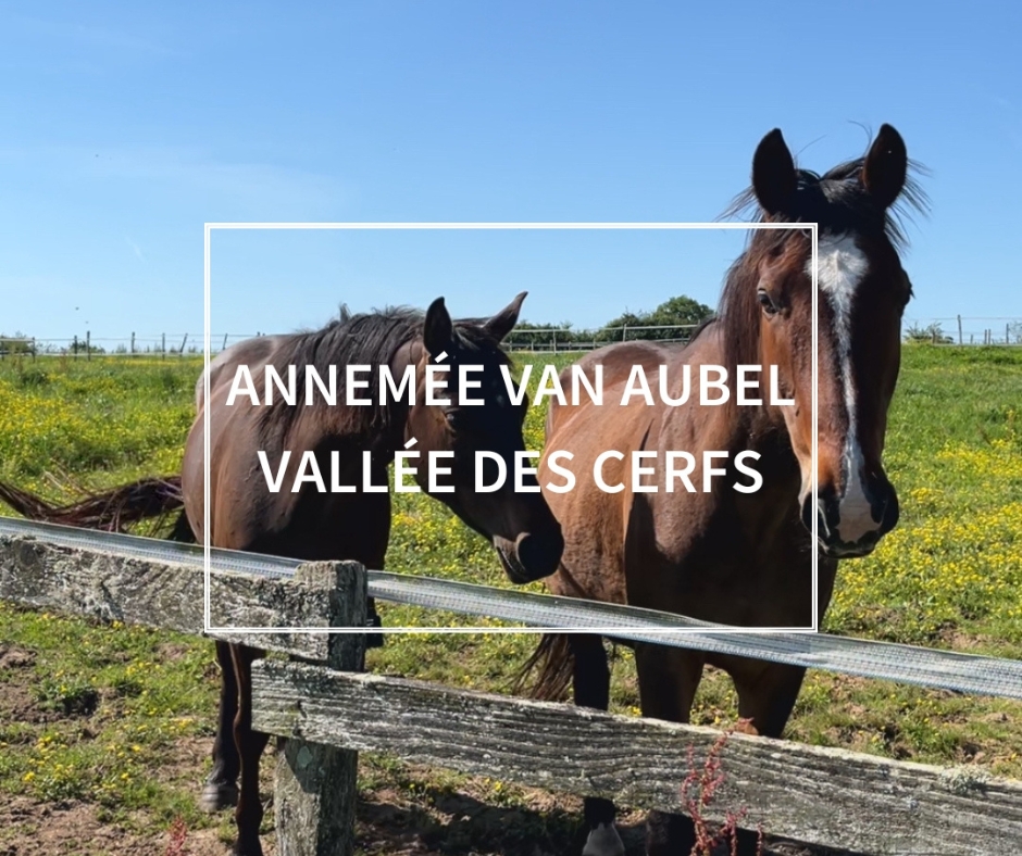 Témoignage de nos labellisés - Annemée Van Aubel, La ferme de la Vallée des Cerfs