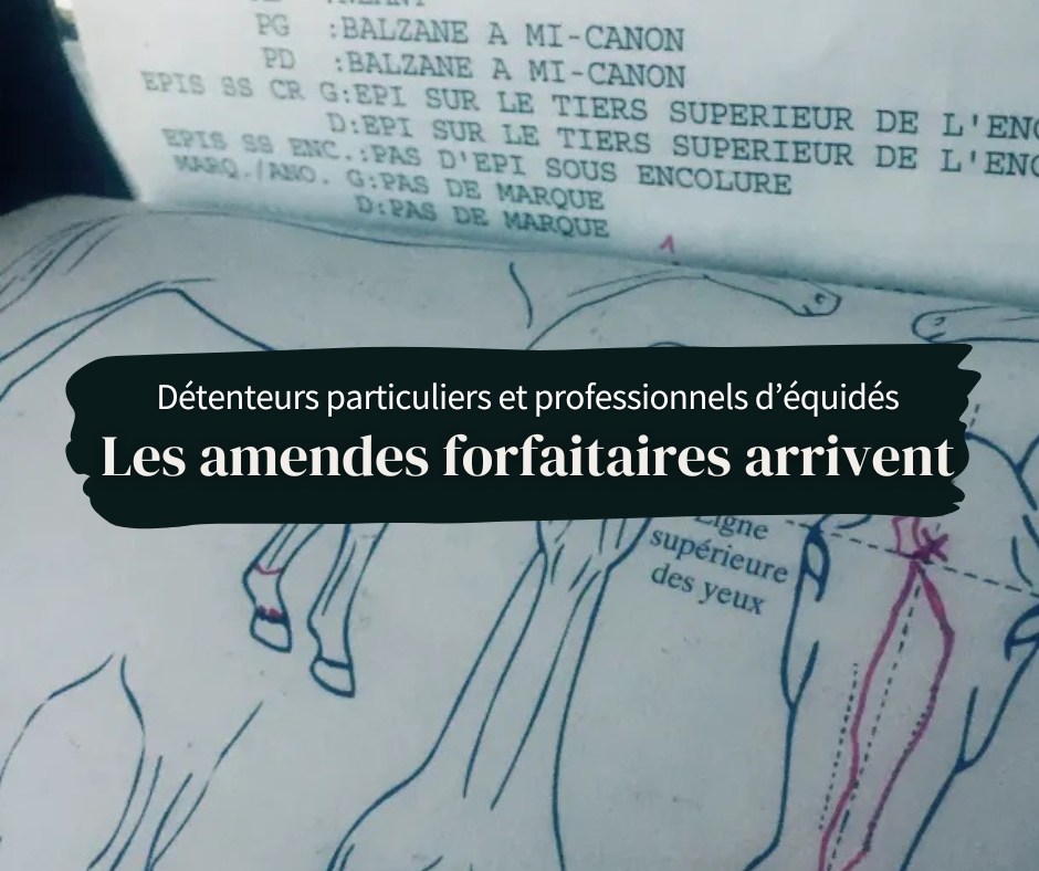 Contrôles IFCE : Les amendes forfaitaires arrivent chez les détenteurs particuliers et professionnels !