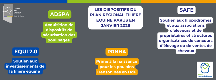 Les dispositifs du Plan Régional Filière Equine 2026 sont ouverts !