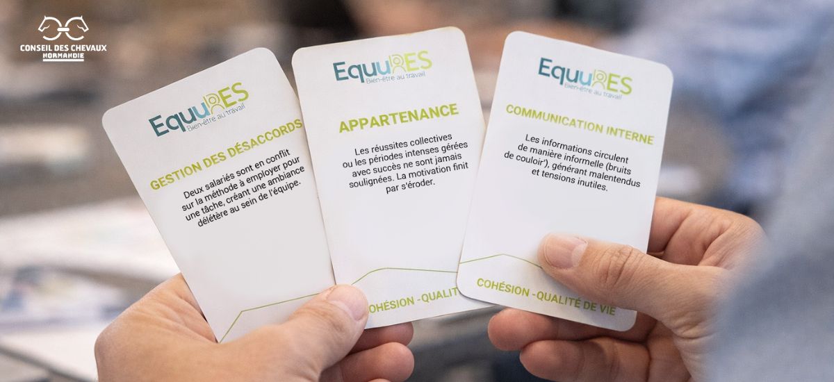 Journée Sécurité dans la filière équine