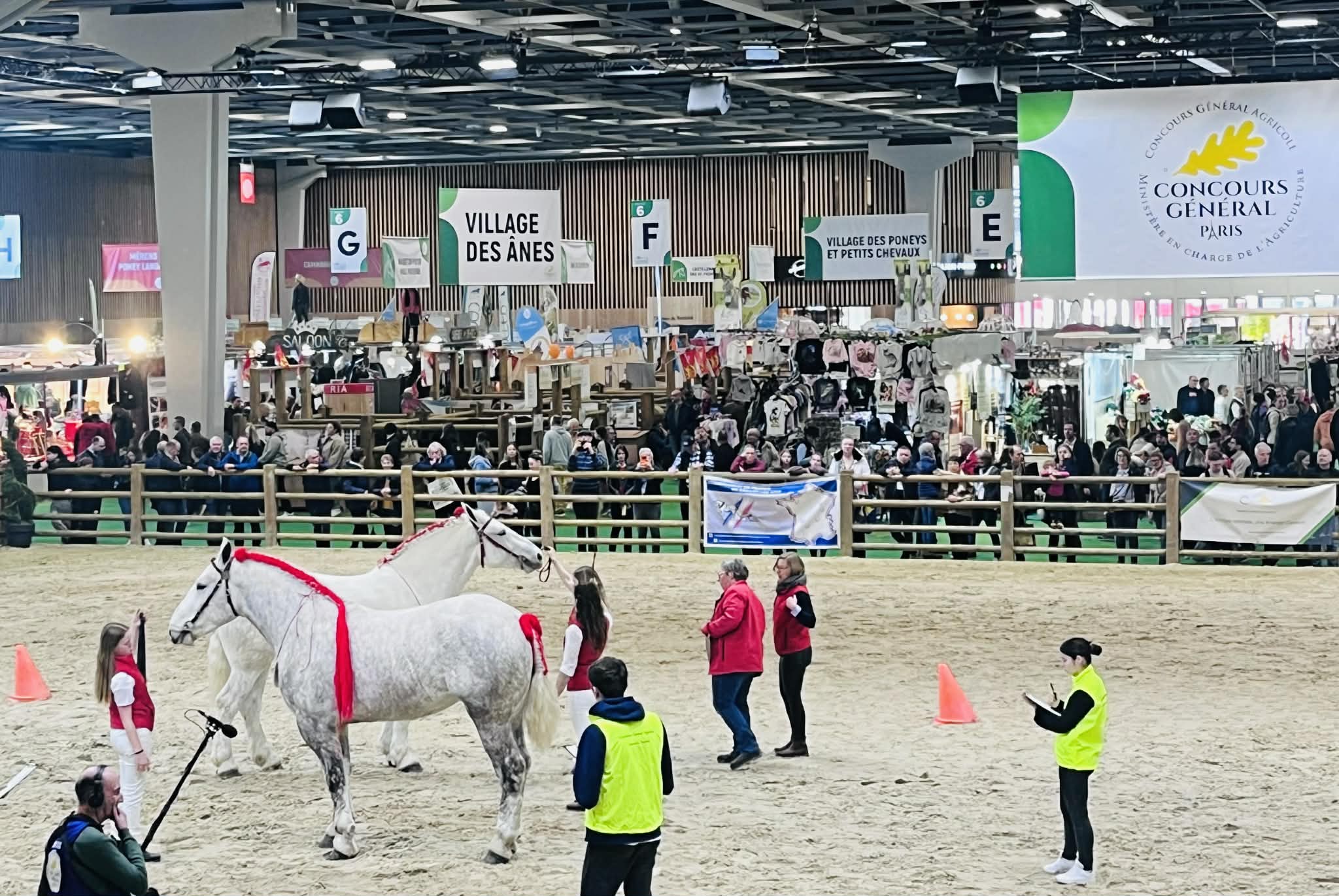 SIA 2026 : concours jeunes pointeurs équins