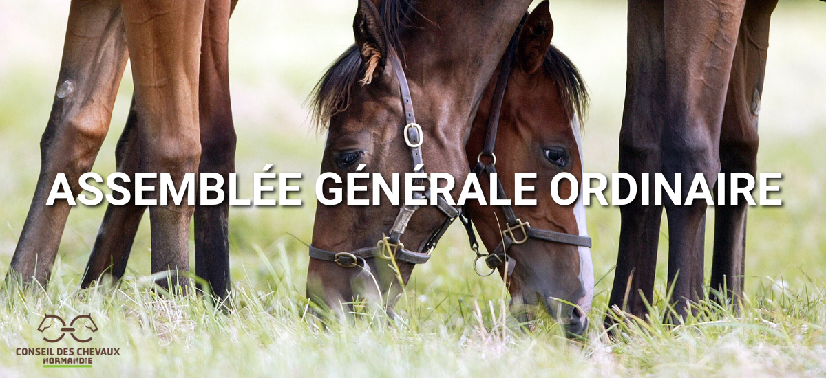 Assemblée générale 2026