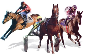 La Fédération des courses hippiques du Sud-Ouest recrute !