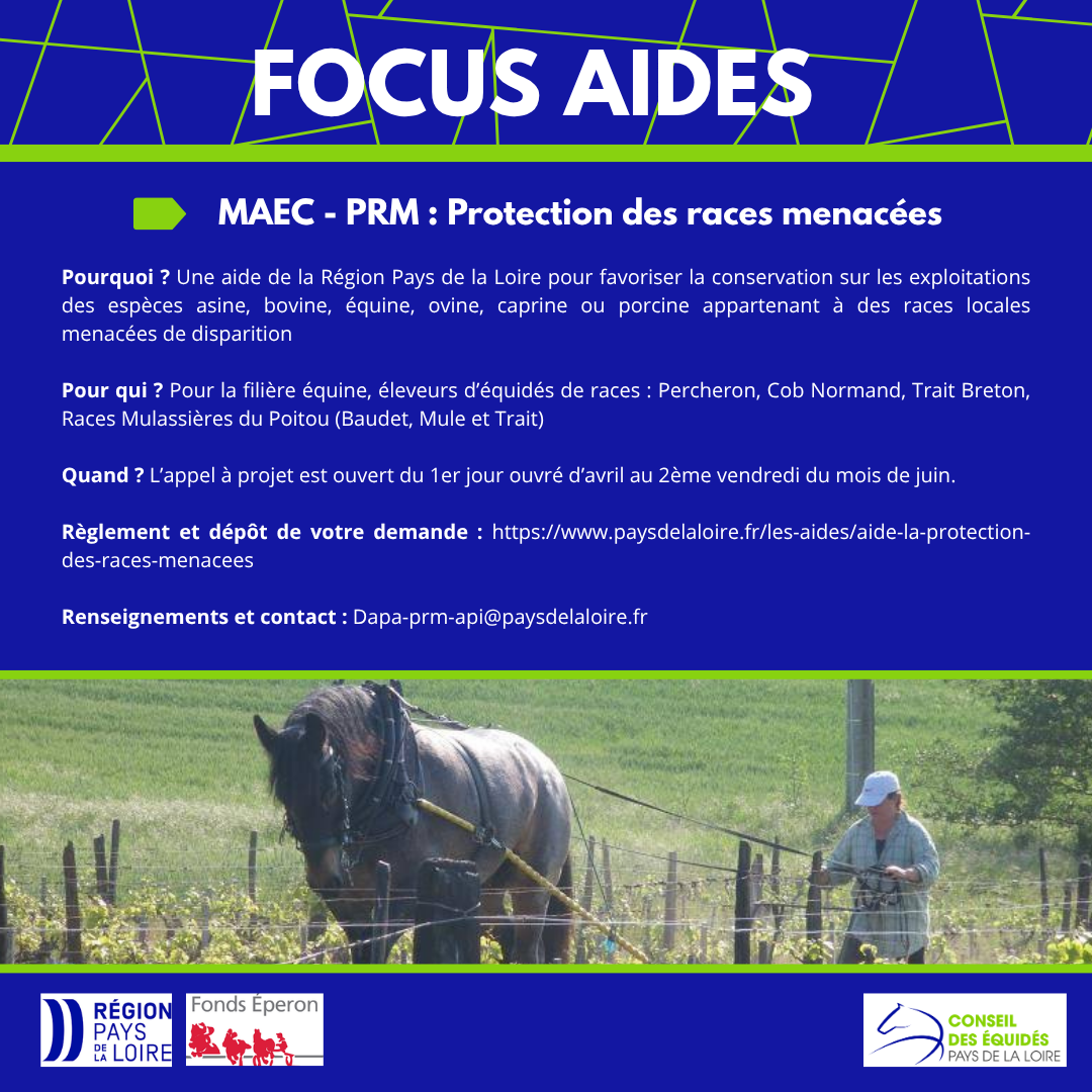 Focus aide >> MAEC - PRM : Protection des races menacées