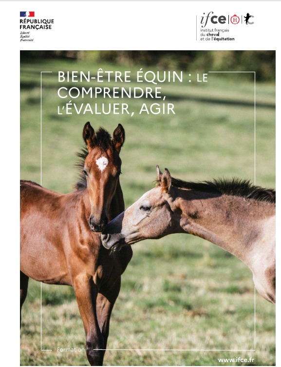 Focus formation : Bien-être équin : le comprendre, l’évaluer et agir