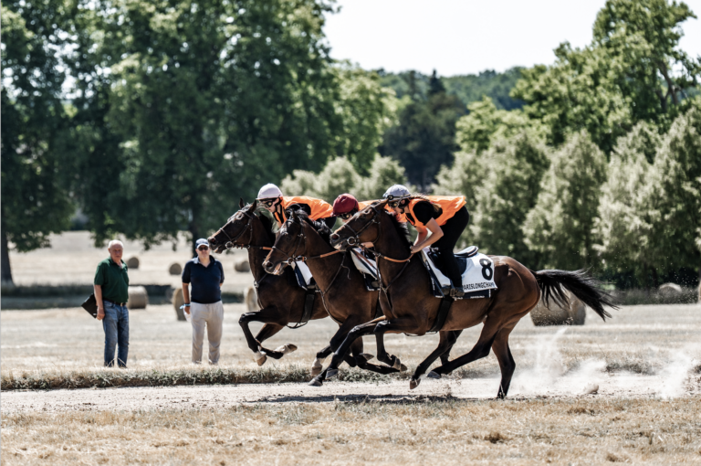 Finales nationales du Concours MAF – Métiers du cheval 2025