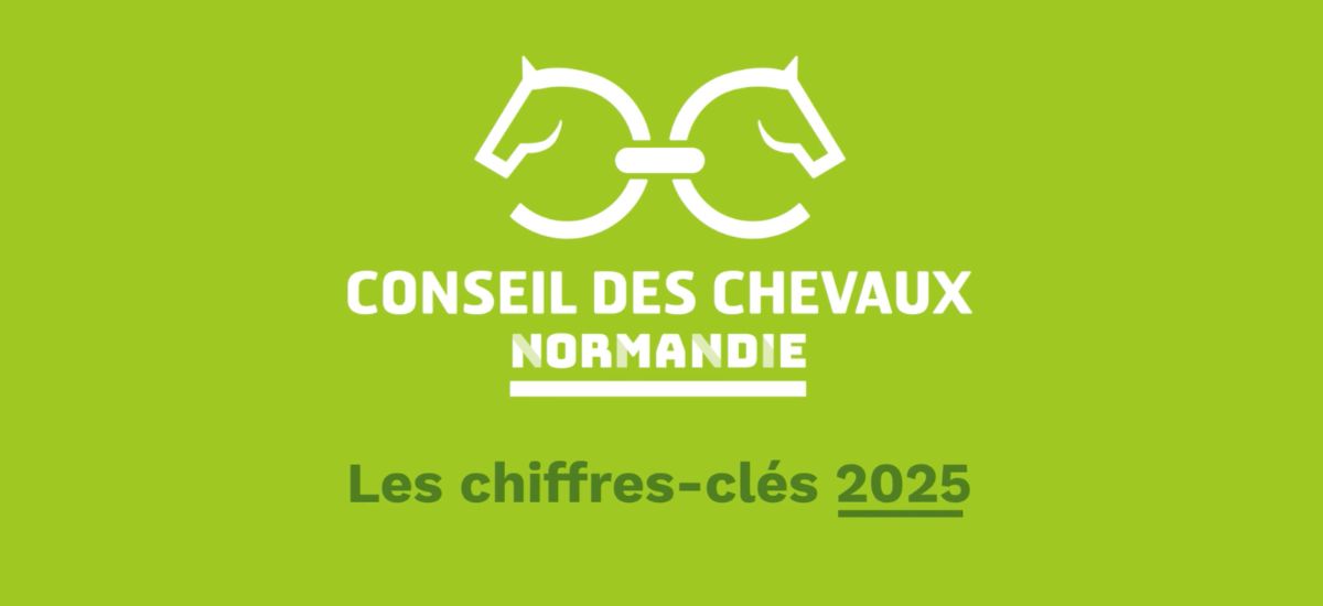 Filière équine en Normandie : les chiffres clés 2025 qui confirment le leadership régional