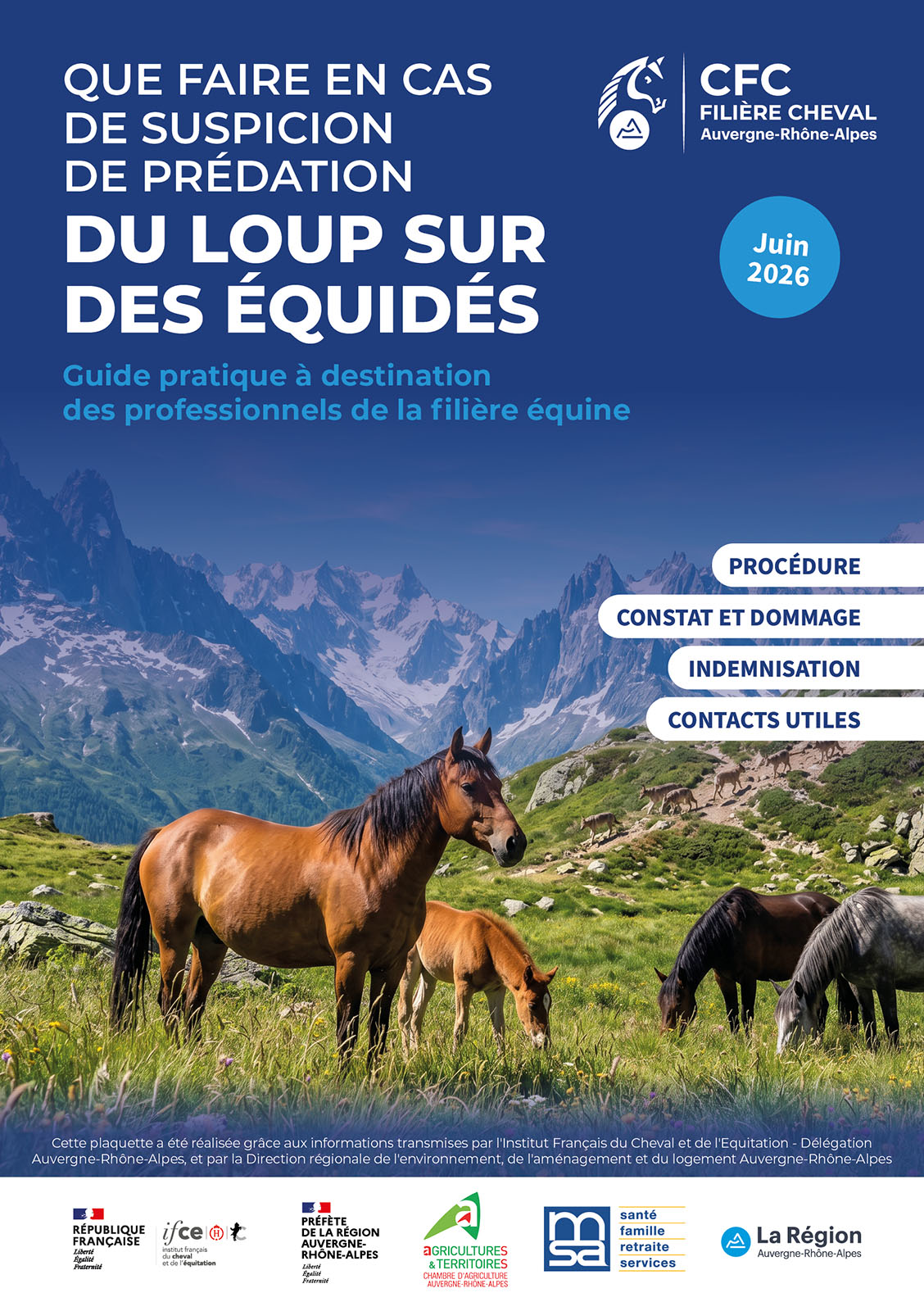 La plaquette "Que faire en cas de suspicion de prédation du loup sur des équidés ?" est désormais disponible !
