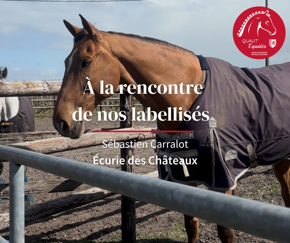 À la rencontre de nos labellisés - Sébastien Carralot, L'Écurie des Chateaux