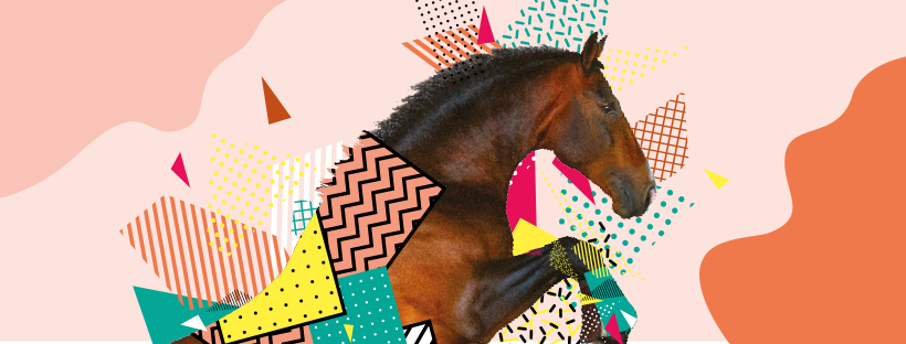 Équidays 2026 : Le Calvados fête le cheval