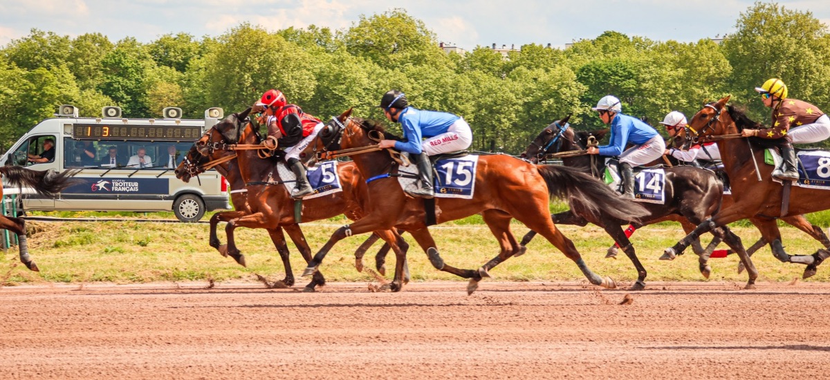 Comprendre les clés de la réussite économique des écuries de trot : rendez-vous le 5 novembre à Graignes