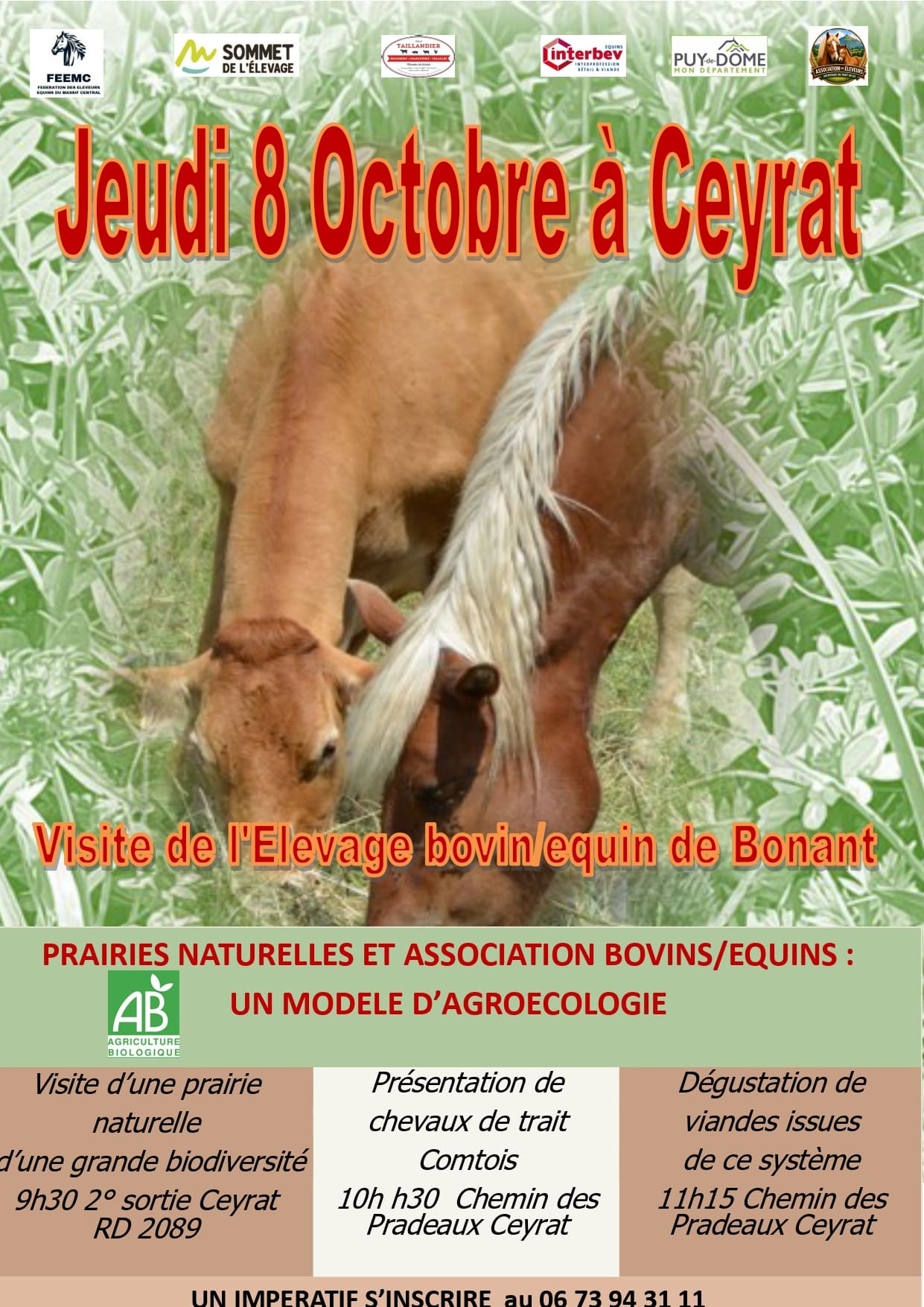 Pastoralisme : quand chevaux et bovins contribuent ensemble à la valorisation des territoires