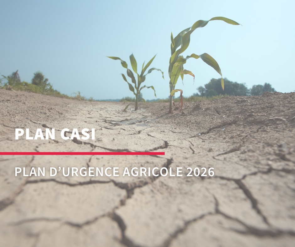 Plan d’urgence agricole 2026 : renseignez-vous rapidement sur les dispositifs