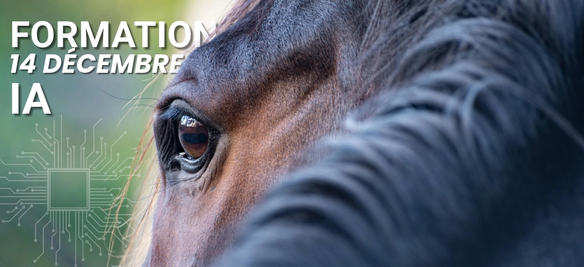 Formation Intelligence Artificielle