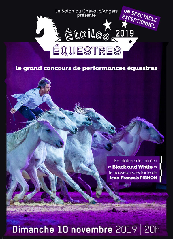 Les Etoiles Equestres au salon du Cheval d'Angers