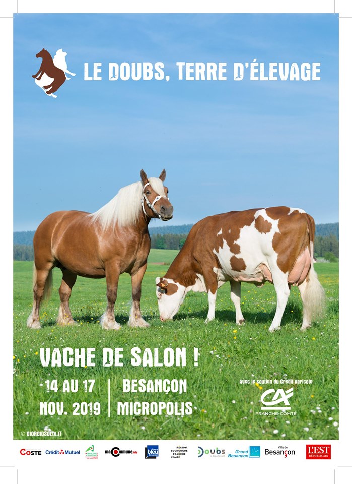 Vaches de Salon